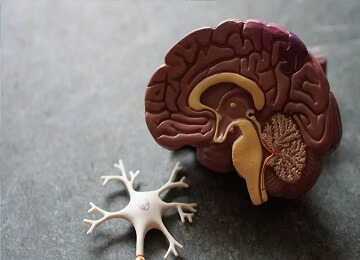 2nd International Conference on Dementia and Brain Disorders
