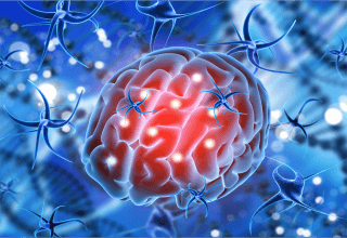 3rd International Conference on Neurology & Neurological Disorders