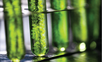 2<sup>nd</sup> World Congress on Organic Chemistry