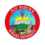 Borana University