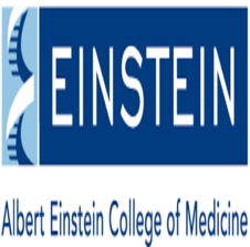 Albert Einstein College of Medicine