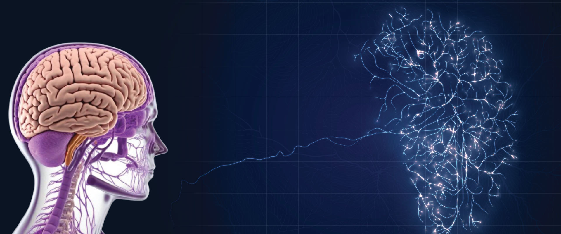 Neurology Neurology Conferences 2024 Neurological Disorders