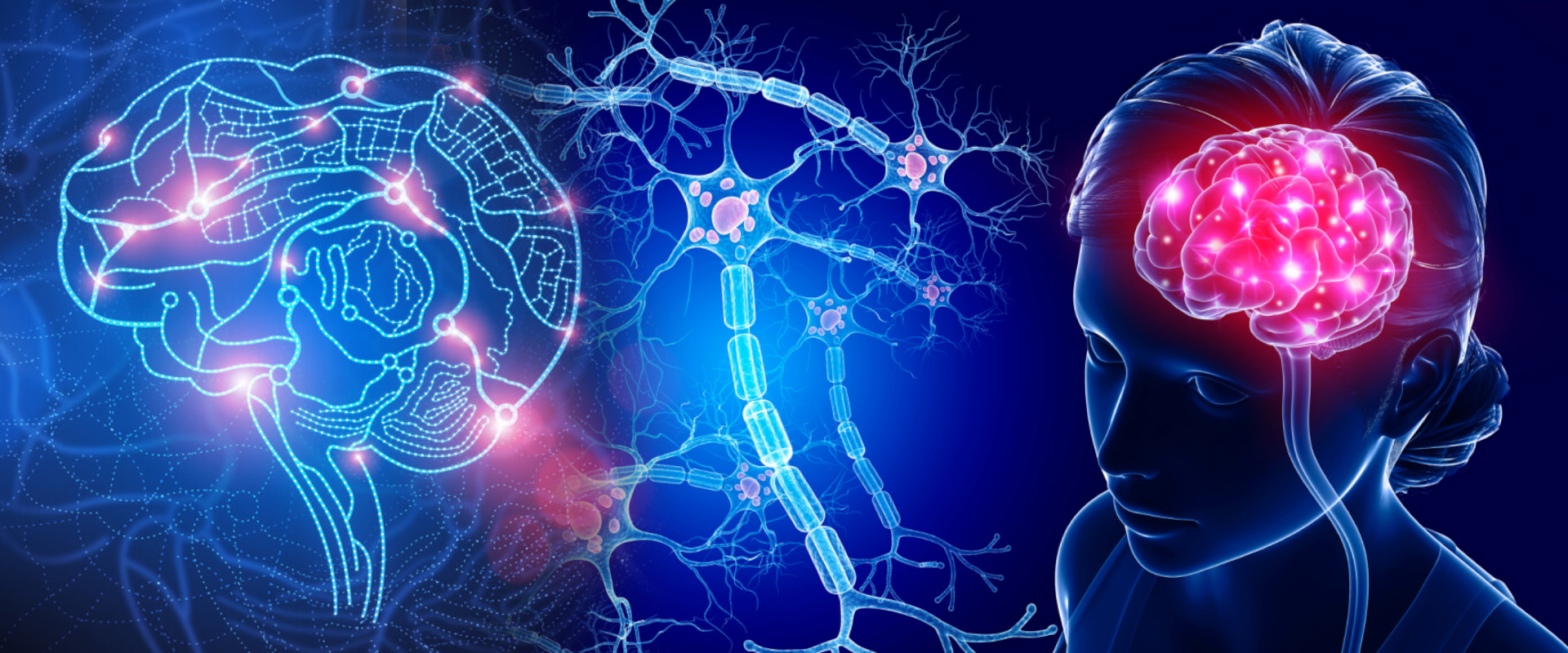 Neurology Dementia Neurology Conferences Brain Disorders Conference