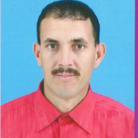 Benmehdi HoucineSpeaker atOrganic Chemistry