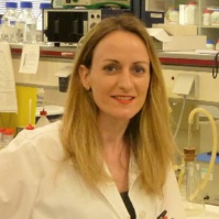 Eleni Petsalaki speaker at 2nd International Conference on Innovations and Advances in Cancer Research and Treatment