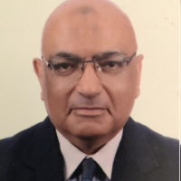 Hesham Hamed | Nano 2026
