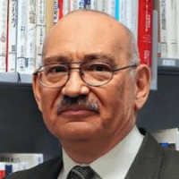 Michael I Tribelsky | Materials Science 2026