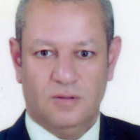 Mohamed F Ayad